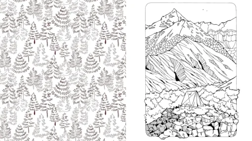 Beautiful Nature Coloring Book