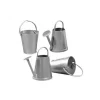 Calderos y regaderas metálicas, set de 4 unidades