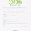 Cestería creativa