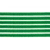 Chenillas Verdes Glorex