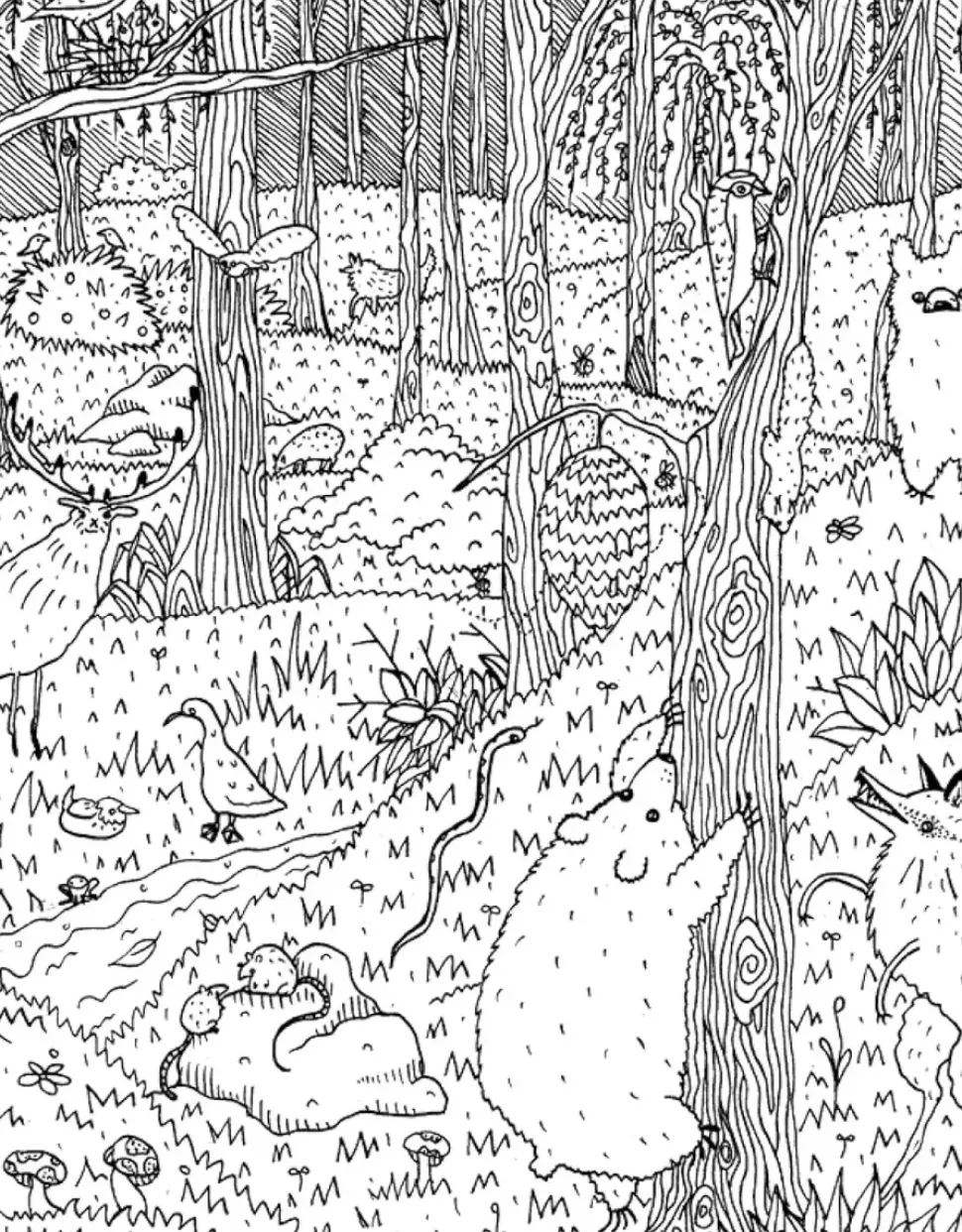 Doodlers Anonymous Coloring book