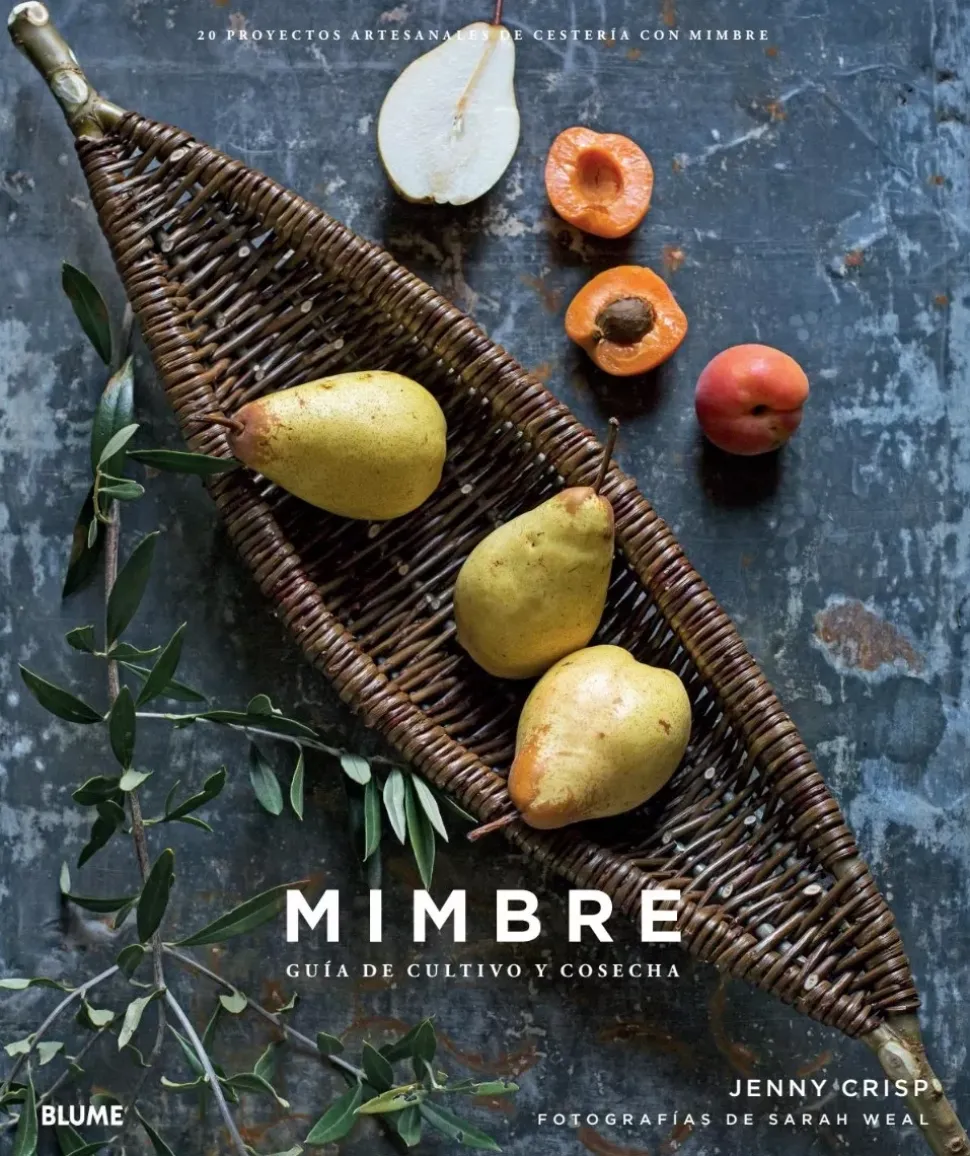 Mimbre 20 proyectos artesanales de cestería con mimbre