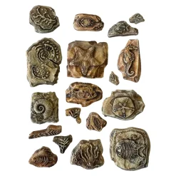 Molde flexible Fósiles Silent Sea Stamperia 14x21cm