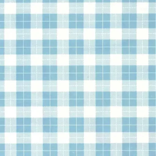 Papel Cuadritos Azules Tassotti