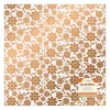 Papel de Acetato Groovy Darlin' Jen Hadfield 30x30cm