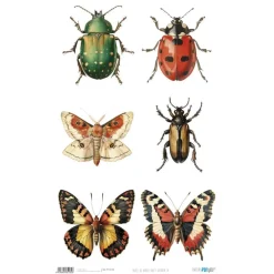 Papel de arroz Bug's Garden IX PapersForYou 54x33cm