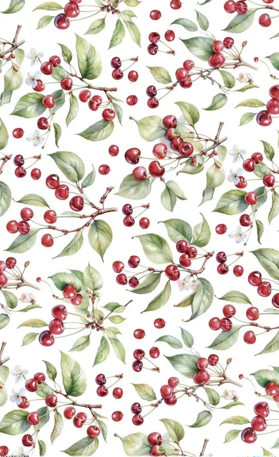 Papel de Arroz Cherrys VII Fruits Market PapersForYou 54x33cm