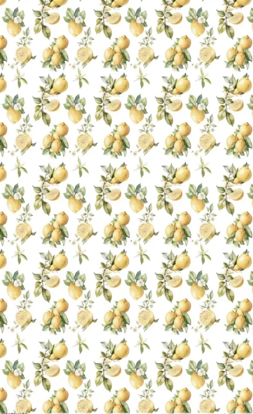 Papel de Arroz Lemon V Fruits Market PapersForYou 54x33cm