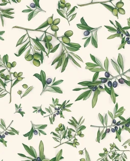 Papel Olivo Tassotti