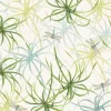 Papel Papiro Tassotti