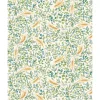 Papel Paz Tassotti