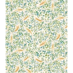 Papel Paz Tassotti