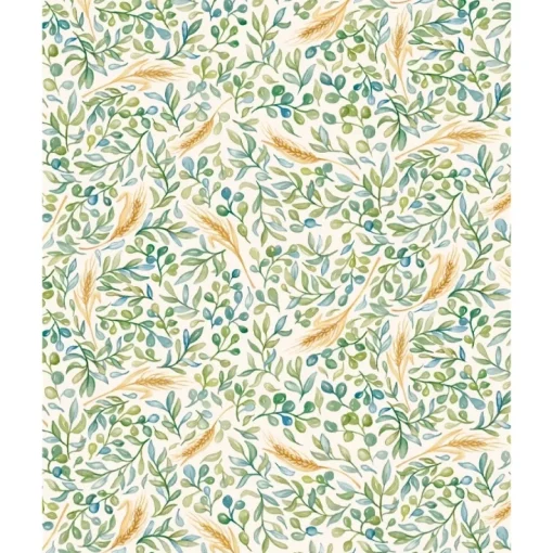 Papel Paz Tassotti