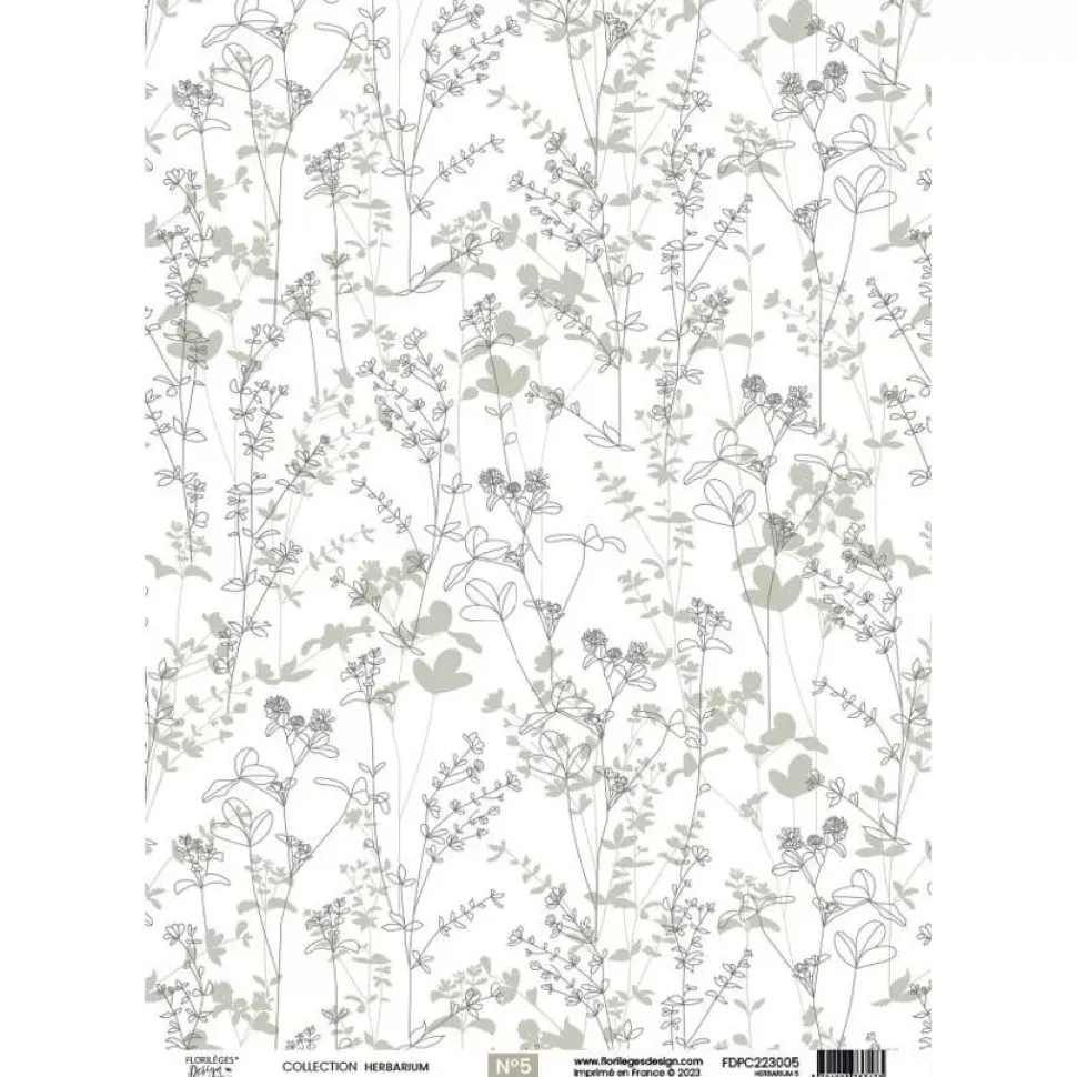 Papel vellum 06 Herbarium Florilèges Design A4