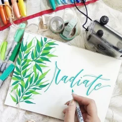 Set 12 Rotuladores Permanentes Punta Ultra Fina Sharpie