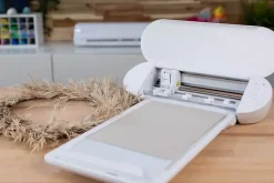 Silhouette Portrait 4