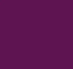 SUPER OFERTA **40%** Pintura para tela Uva morada SoSoft 29.6ml