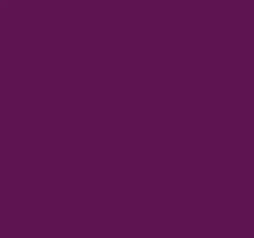 SUPER OFERTA **40%** Pintura para tela Uva morada SoSoft 29.6ml