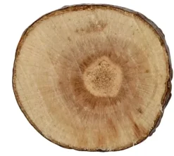 Surtido de Madera Creativ Company
