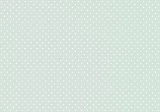 Tela de Encuadernar Estrellas Blanca Menta PapersForYou 70x50cm