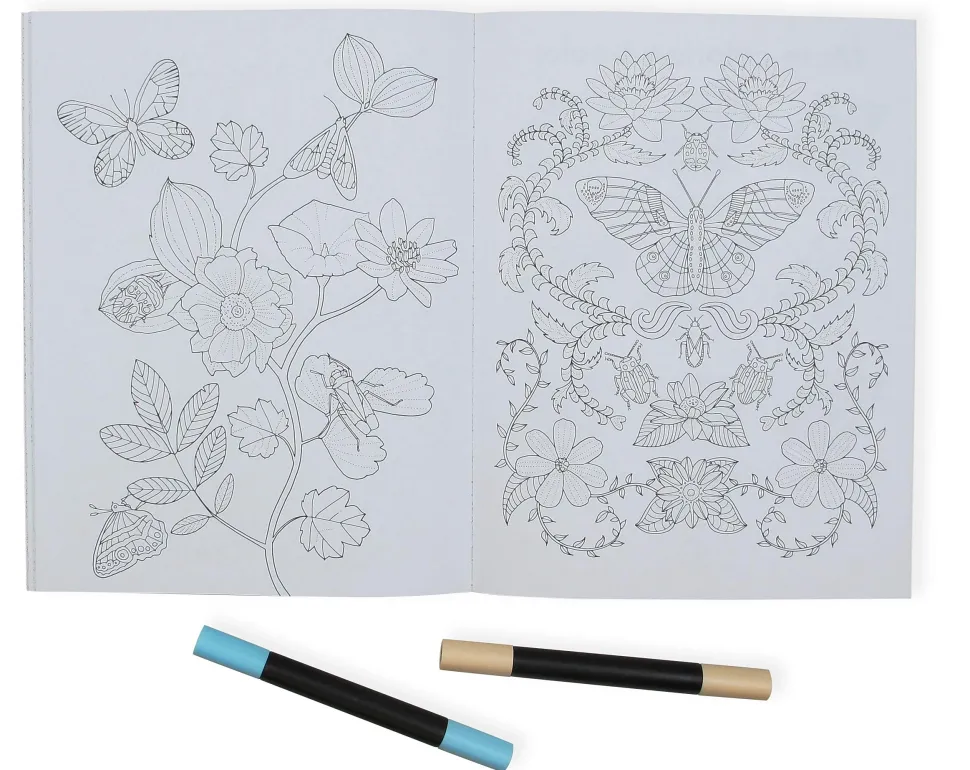 Wonderful Insects Coloring Book
