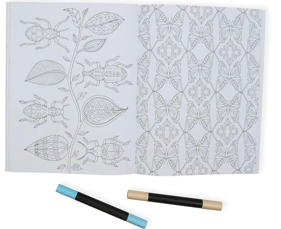 Wonderful Insects Coloring Book